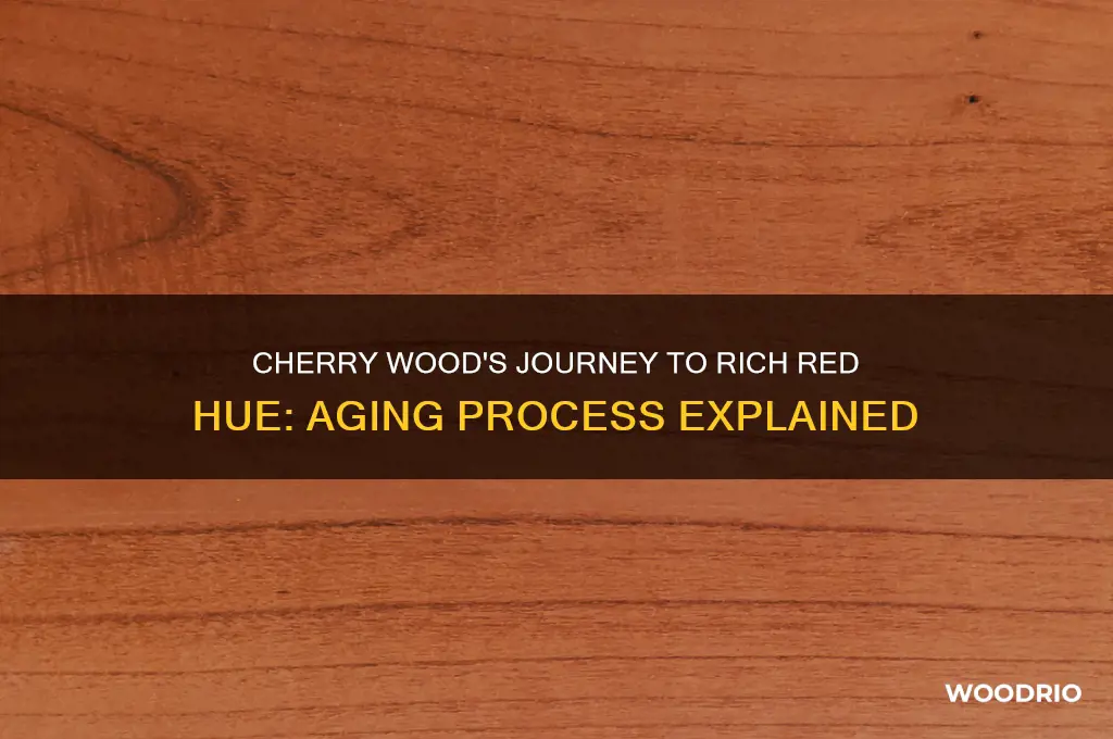 how long for cherry wood to become red