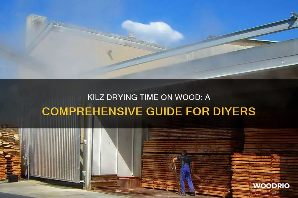 how long for kilz to dry on wood