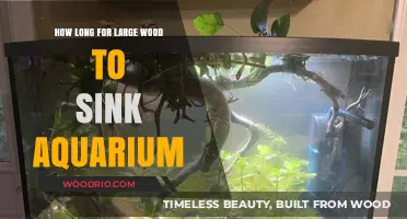 How Long Does It Take for Large Wood to Sink in an Aquarium?