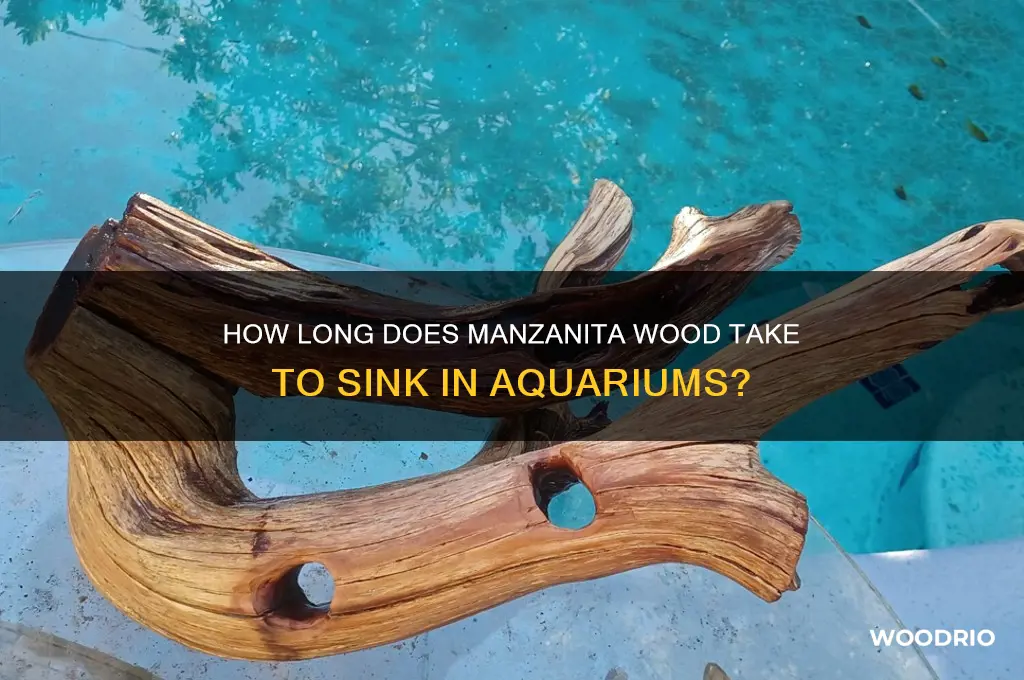 how long for manzanita wood to sink