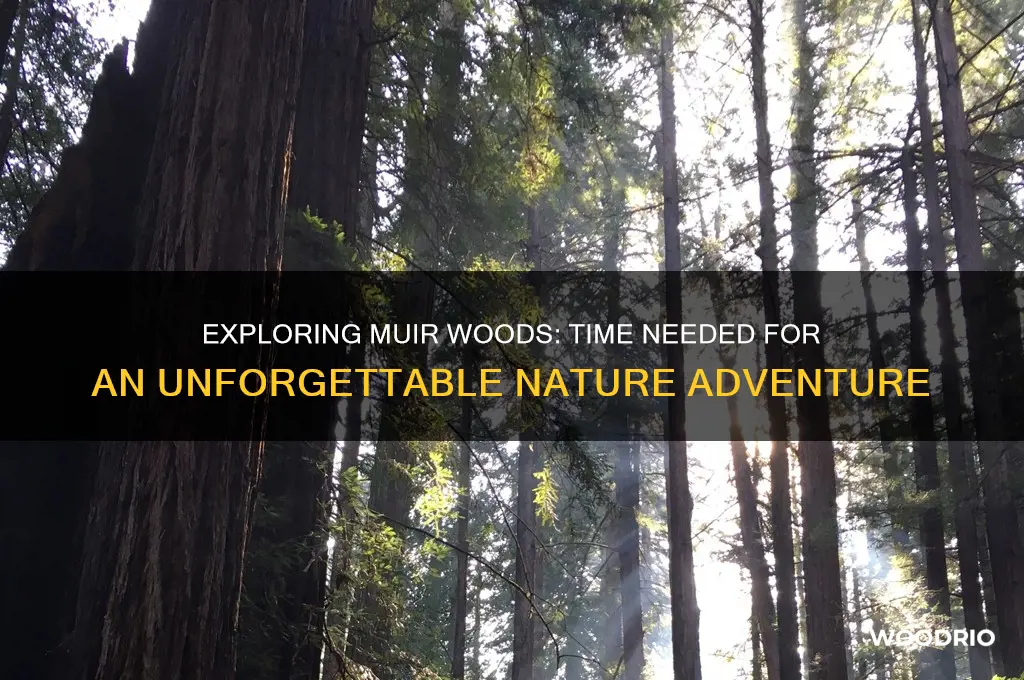 how long for miur woods