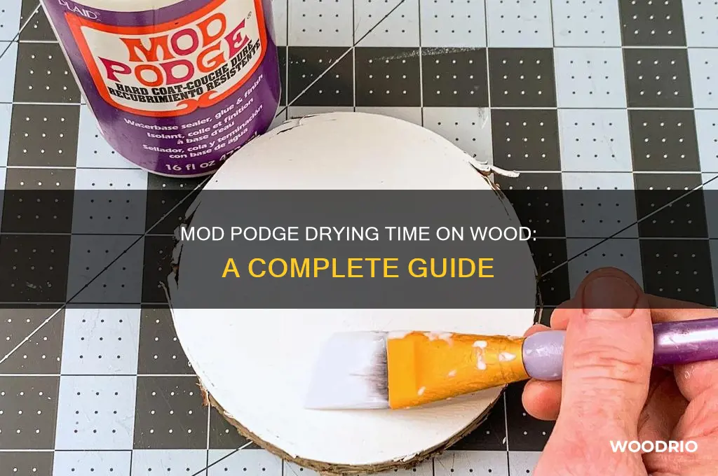 how long for mod podge to dry on wood