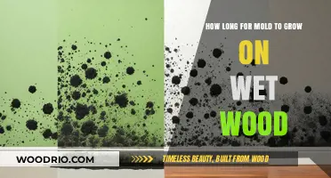 How Quickly Does Mold Grow on Wet Wood? A Timeline