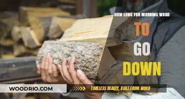 Understanding Morning Wood: How Long Does It Typically Last?