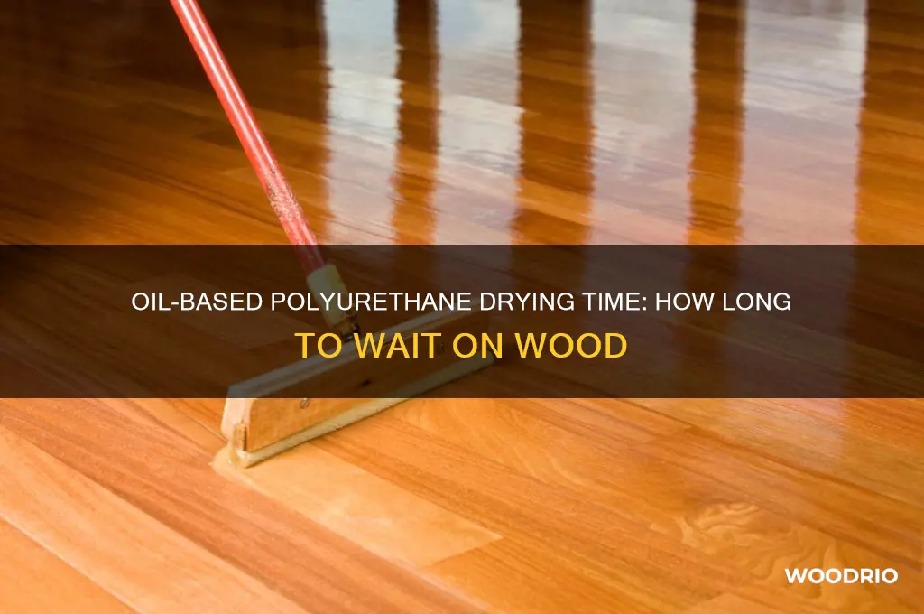 how long for oil based polyurethane to dry on wood