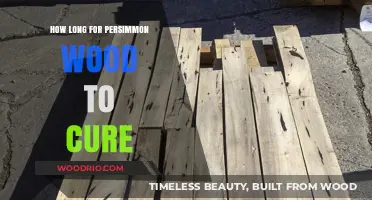 Curing Persimmon Wood: Essential Timeframe for Optimal Craftsmanship Results