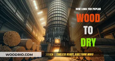 Drying Poplar Wood: Optimal Time and Techniques for Perfect Results