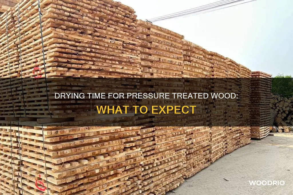 how long for pressure treated wood to dry out