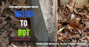 Pressure Treated Wood Durability: How Long Until It Starts to Rot?
