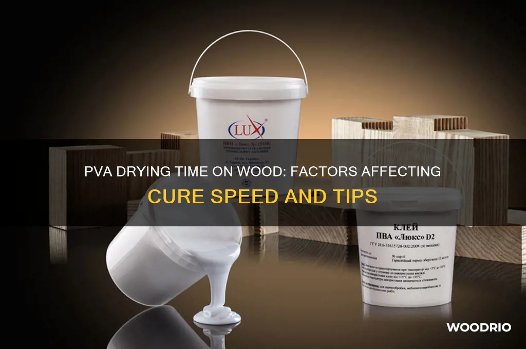how long for pva to dry on wood