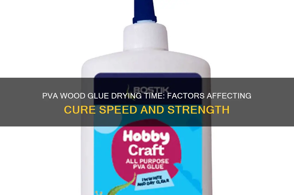 how long for pva wood glue to dry
