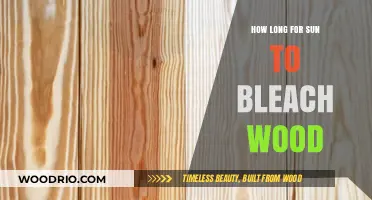 Sun Bleaching Wood: Timeframe and Tips for Natural Weathering