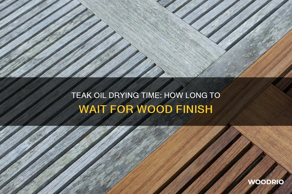 how long for teak oil to dry on wood