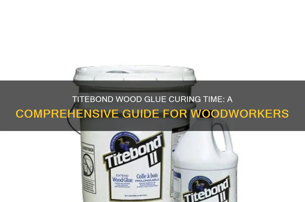 how long for titebond wood glue to cure