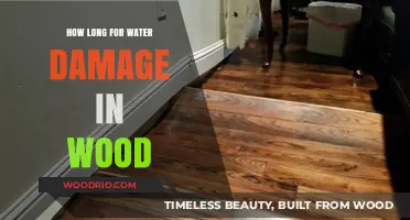 Understanding Water Damage: How Long Does Wood Take to Recover?