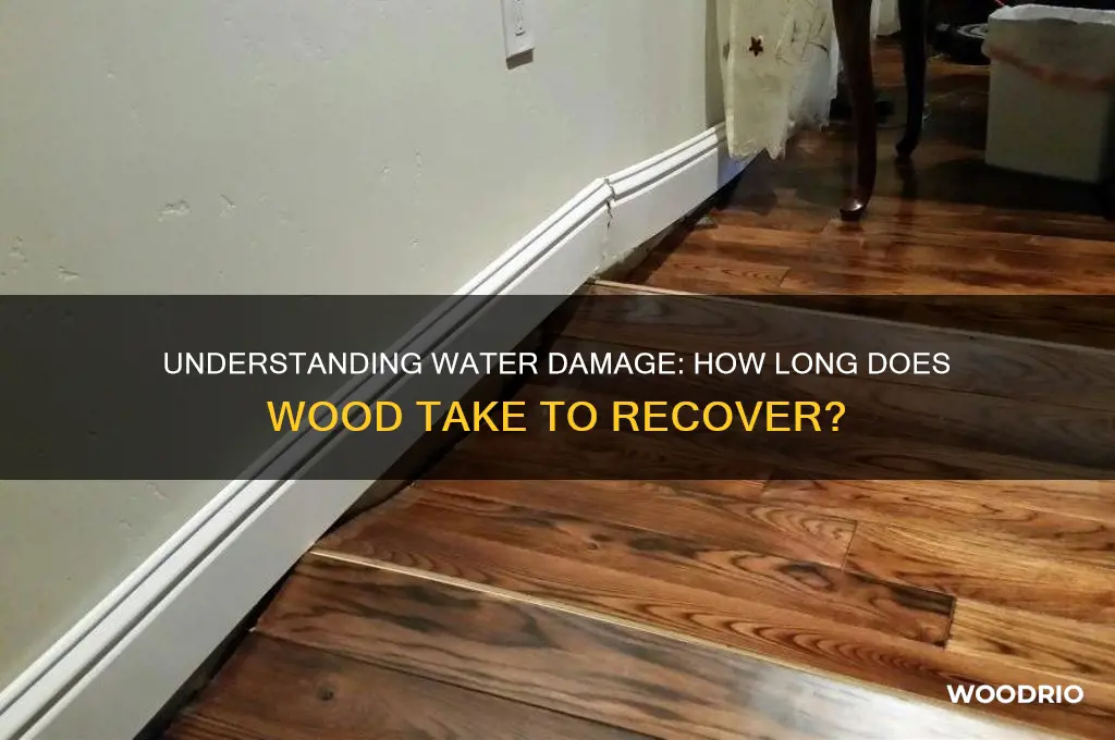 how long for water damage in wood
