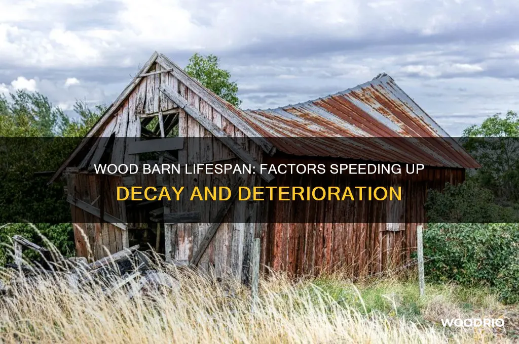 how long for wood barn to deteriorate