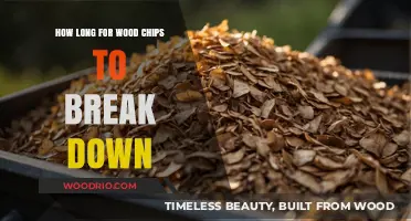 Wood Chips Decomposition Timeline: Factors Affecting Breakdown Process