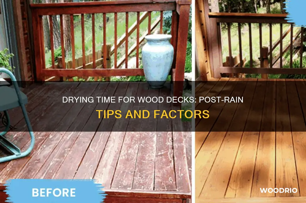 how long for wood deck to dry after rain