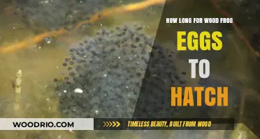 Wood Frog Eggs Hatching Timeline: A Detailed Developmental Journey