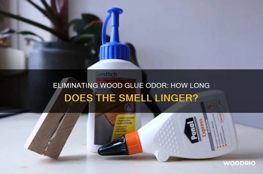 how long for wood glue smell to go away