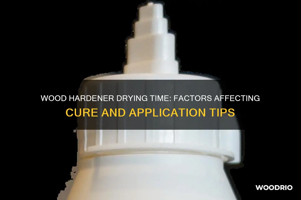 how long for wood hardner to dry