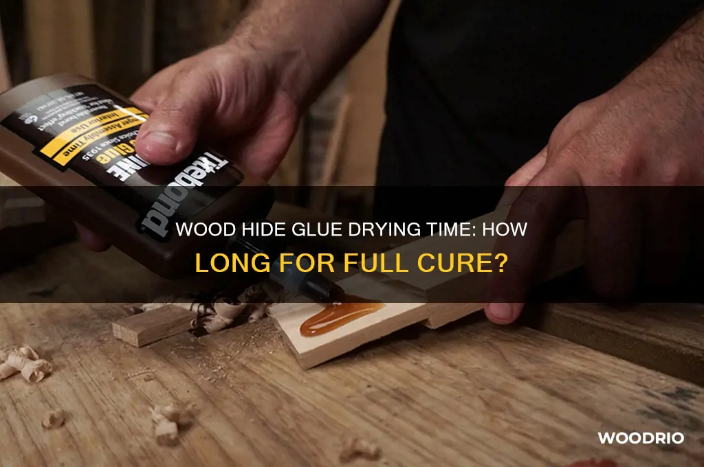 how long for wood hide glue to fully dry