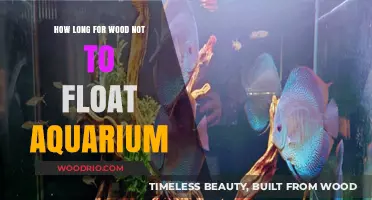 When Does Wood Sink in Aquariums? A Guide to Waterlogging