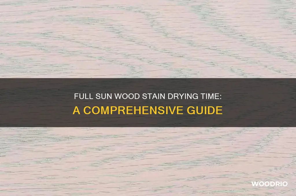 how long for wood stajn to set in full sun