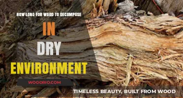 Wood Decomposition Timeline: How Long Does It Last in Dry Conditions?