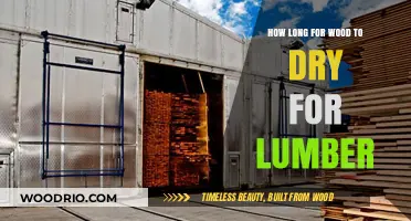 Drying Wood for Lumber: Understanding the Optimal Timeframe