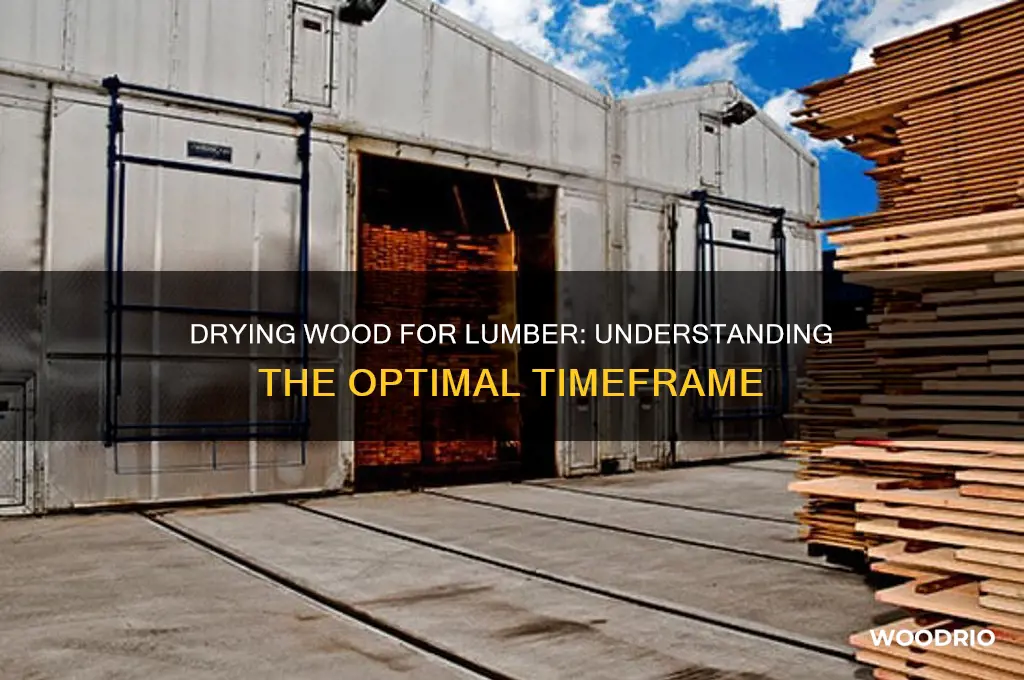 how long for wood to dry for lumber