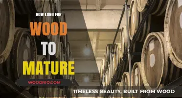 Understanding Wood Maturation: Timeframe for Optimal Strength and Durability