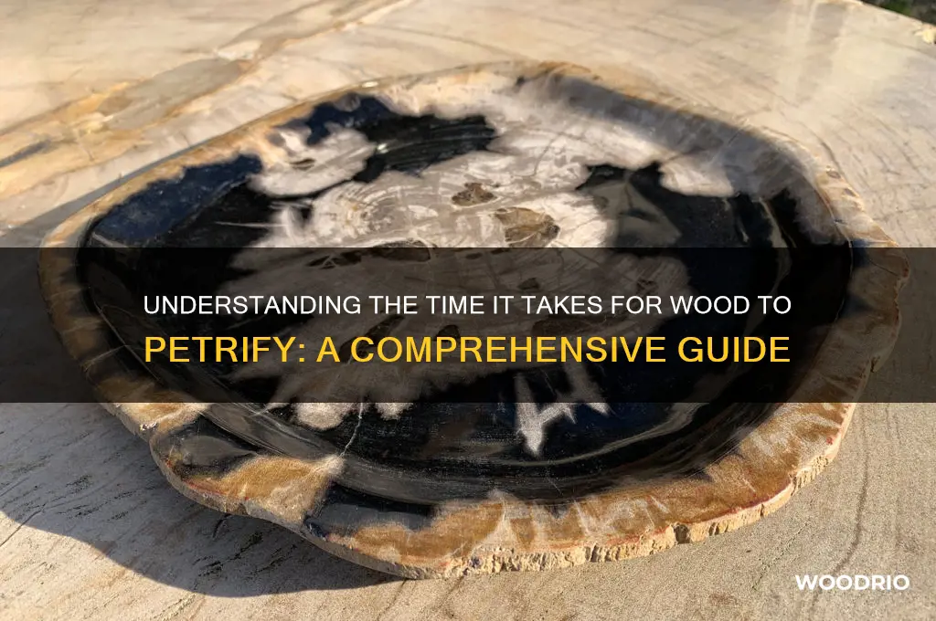 how long for wood to petry