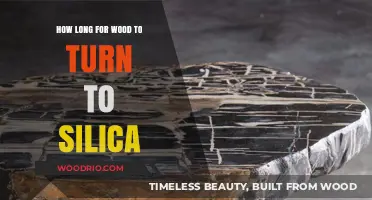 Wood to Silica Transformation: Understanding the Timeframe and Process