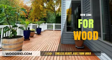 How Long Does Wood Last? Factors Affecting Durability and Lifespan