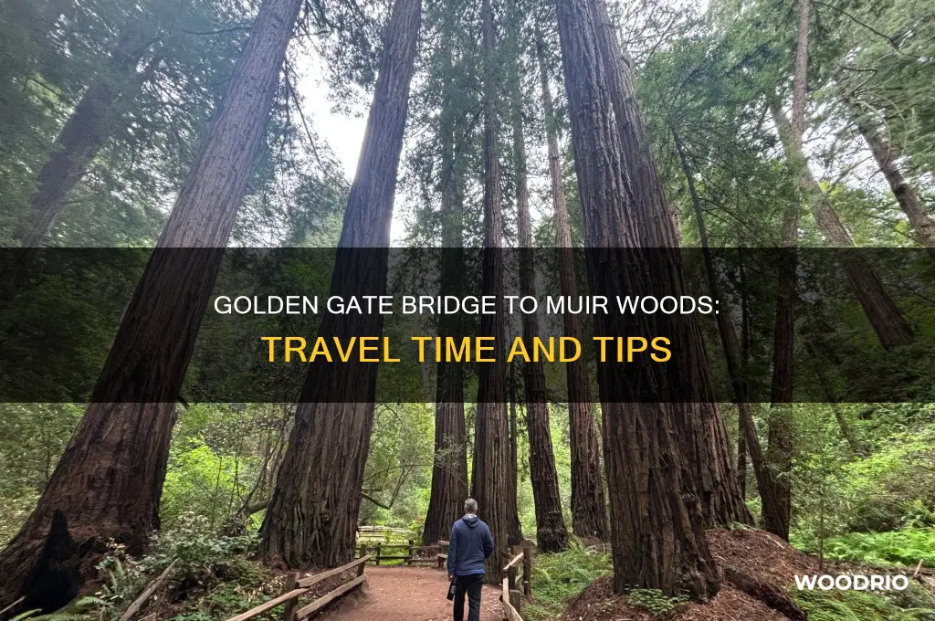 how long from golden gate bridge to muir woods