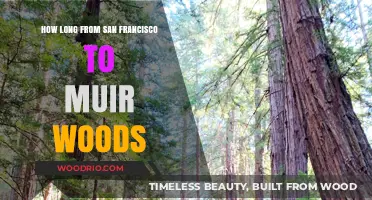 San Francisco to Muir Woods: Travel Time and Tips