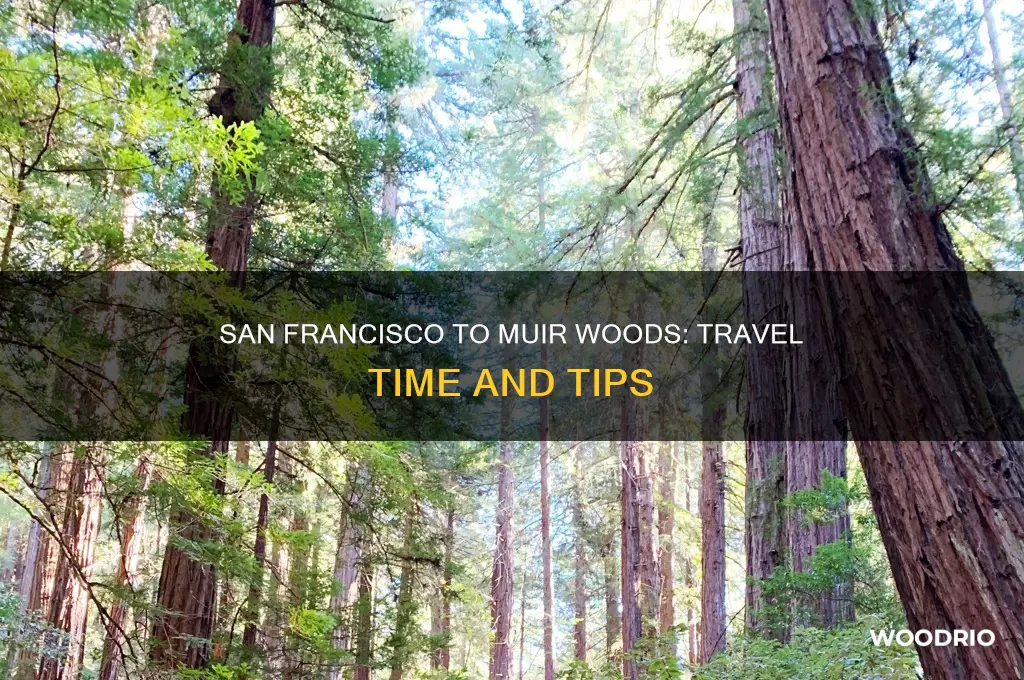 how long from san francisco to muir woods