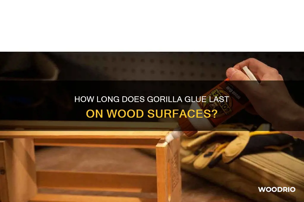 how long gorrilla glue on wood