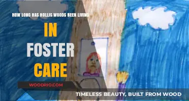 Hollis Woods' Foster Care Journey: Duration and Impact Explored