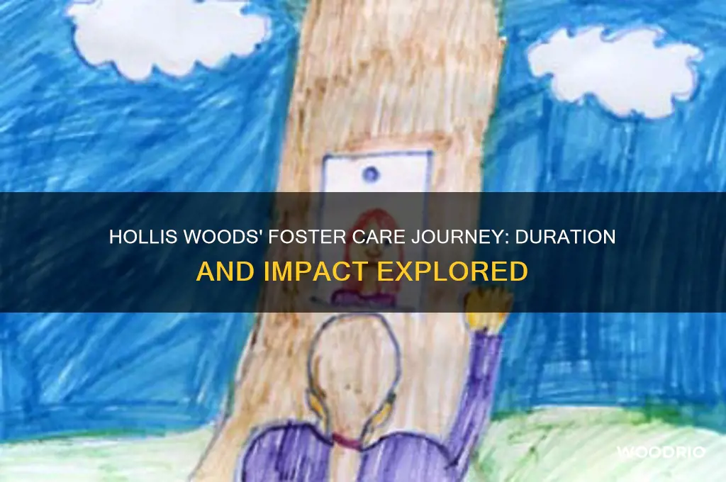 how long has hollis woods been living in foster care