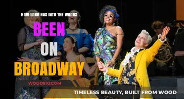 Into the Woods Broadway Run: A Timeless Musical Journey
