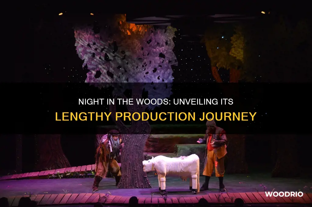 how long has night in the woods been in production