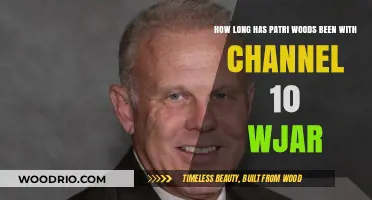 Patri Woods' Longstanding Tenure at Channel 10 WJAR Revealed