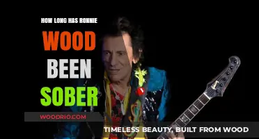 Ronnie Wood's Sober Journey: Celebrating Years of Sobriety and Resilience