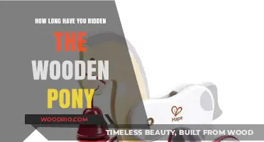 How Long Have You Ridden the Wooden Pony: A Journey