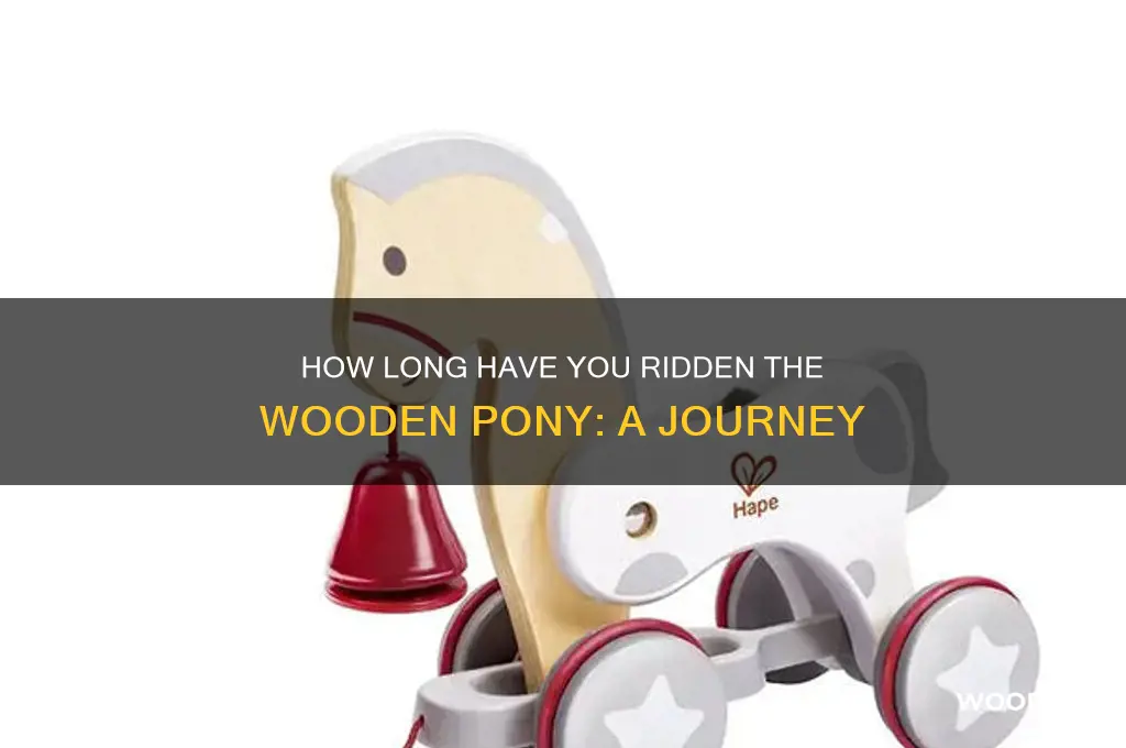 how long have you ridden the wooden pony