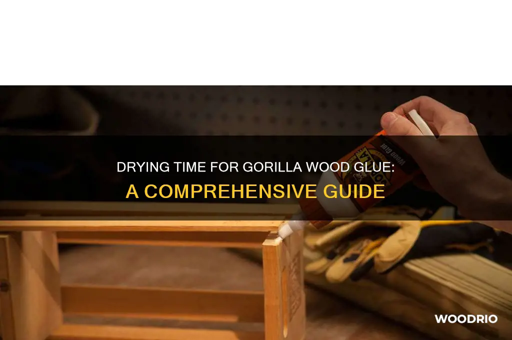 how long horilla wood glur to dry