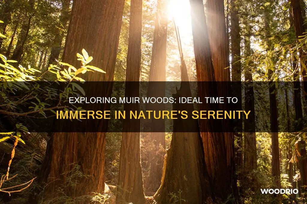 how long in muir woods